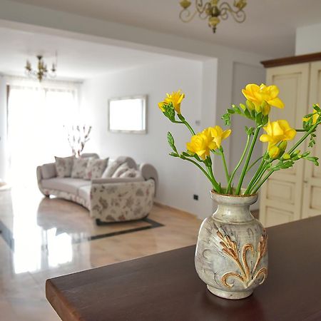 San Grecu House Lejlighed Făgăraş Eksteriør billede